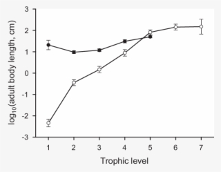 Mean Log 10 Body Length Versus Trophic Level In Pelagic - Plot #5027579