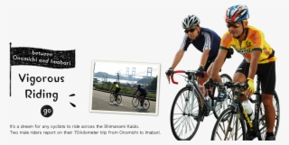 Cycling Report - Racing Bicycle #5028265