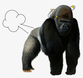 Gorilla - Gorilla Png #5028621
