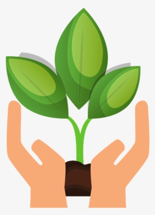 Donate To The Wayne Township Adult Education Legacy - Hands Holding Plant #5028884