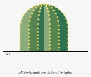 Spiky Companions - Circle #5029799