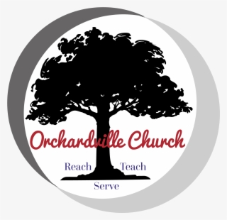 Elm Tree Black And White #5031553