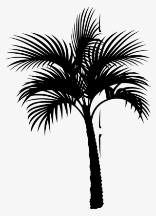 Download Png - Coconut Tree Vector #5034270 Download Png - Coconut Tree Vector #5034270
