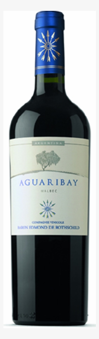 Flechas De Los Andes Aguaribay Malbec - Ch Cap De Faugeres 2010 #5039764