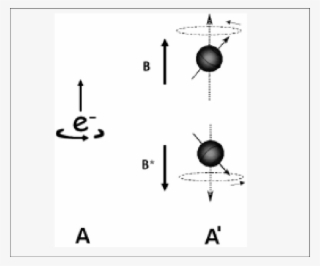 A - A - A - A - A - El Espín Del Electrón Obedece La - Se Representa Un Espin #5039884