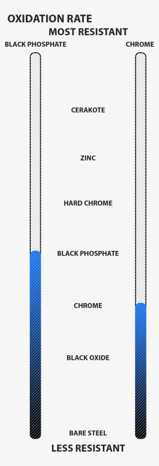 Ez Curl Warranty - Parallel #5041464
