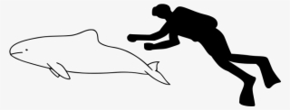 Spectacled Porpoise Size - Yangtze Finless Porpoise Outline #5041688