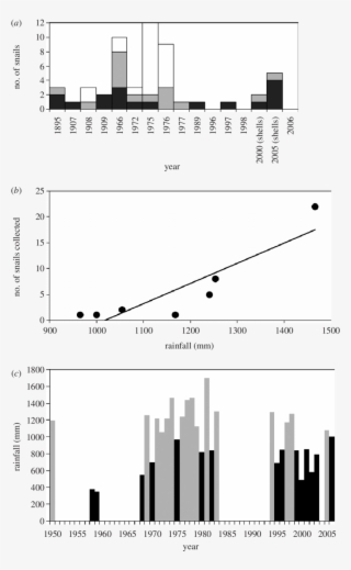 Population Structure Of R - Juvenile #5041835