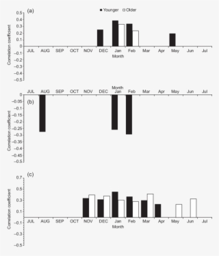 Correlation Coefficients Between Younger And Older - Correlation Coefficient #5041906