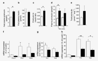 Analysis Of Insulin Processing In Znt8bko And Control - Proinsulin #5042160