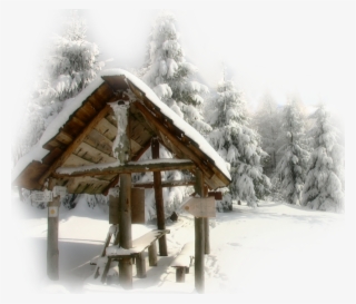 One And Only One Gif Photo, One And Only, Winter Wallpapers - Snow #5042736