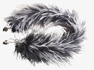 Rare Victorian Ostrich Feather Boa Found At Www #5043723