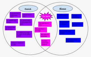 In This Venn Diagram, I Had To Compare A Ostrich To - Circle #5043782