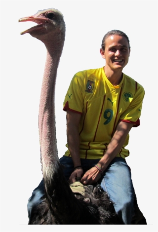 Mark Wiens Wife Job #5043915