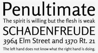 Rosario Font Phrases - Kingthings Font #5044956