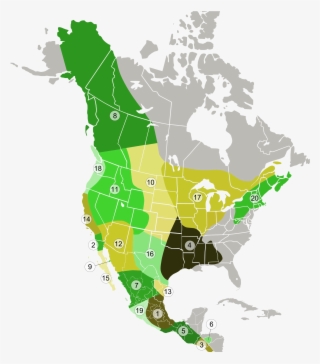Open - Us States Joining Canada #5050041