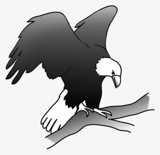 Eagle On A Branch In A Tree - Drawing #5050424