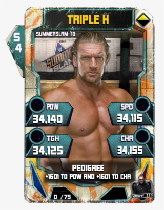 Summerslam (2015) #5051039