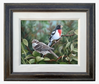 Rose Breasted Grosbeaks - Painting #5051932