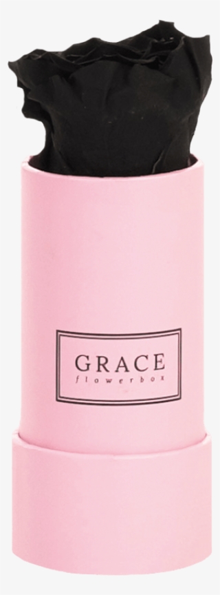 Perfume #5052781