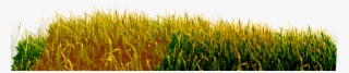 1 - Ddlbiz Wall Stickers , Spring Green Land Wall Decoration #5053094