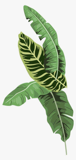 Say Hello - Last Name Basis #5055509