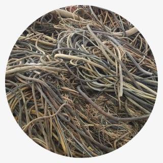 Shredder Wire - Wood #5056904