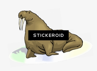 Walrus S Animals - Punxsutawney Phil #5057031