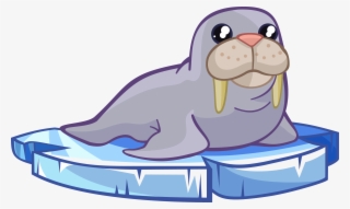 Walrus - Free - Walrus Clip Art Free #5057249