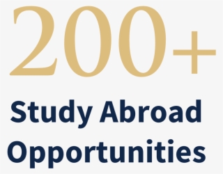 Study Abroad In One Of Many Available International - Study Abroad Promotion #5058287