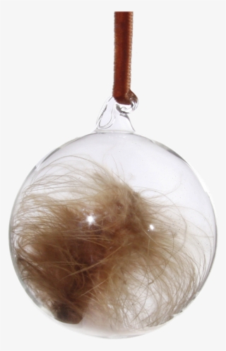 Productimage0 - Brown #5059463