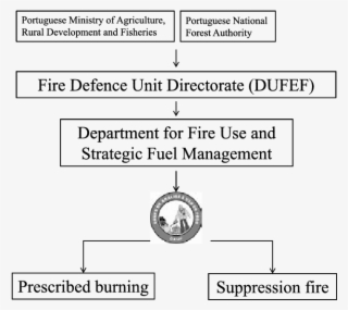Structure Of The Fire Use And Analysis Group - Cvc Capital Partners #5059821