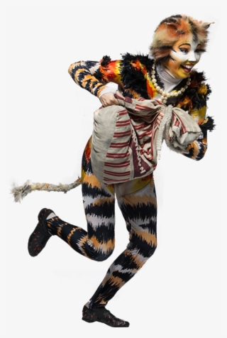 L14 Rumple - Cats The Musical Png #5061146