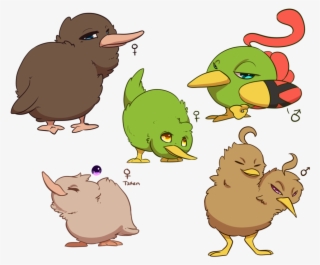 Kiwi Bird Pet - Kiwis #5061769