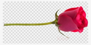 Black Balloon Vector Clipart - Concert Stage Clip Art #5063527