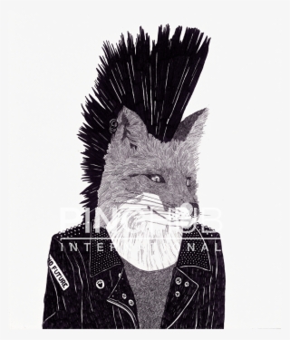 Punk Fox #5065378