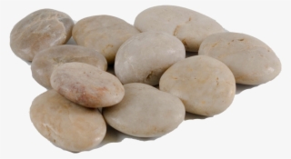 Pebbles White - Pebble #5066161