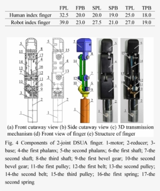 Dimensions Of The Designer's Right Hand Index Finger - One Motor Two Fingers #5066940