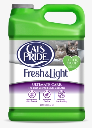 The Best Performing Lightweight Litter - Oil Dri Ultimate Care Cat Litter, Unscented, 12-lbs. #5069251