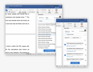 And For A Bit More Detail, While Not A Complete List, - Computer Icon #5074875