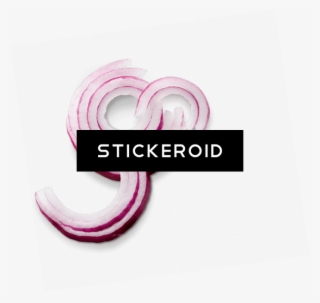 Onion Slice - Check Mark #5075689 Onion Slice - Check Mark #5075689