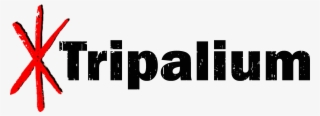 Camisetas Tripalium - Calligraphy #5077101