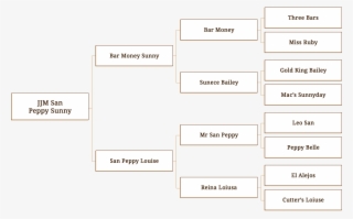 Jjm San Peppy Sunny - Genealogy #5079147