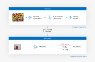 Training Processor For Inference - Inference #5081364
