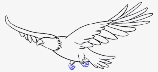 Png Library How To Draw An - Easy Drawing Of A Eagle #5081709