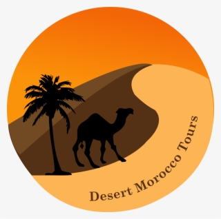 Desert Morocco Tours - Travel Agency #5082576