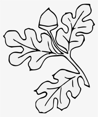 Acorn Slipped & Leaved - Line Art #5084770