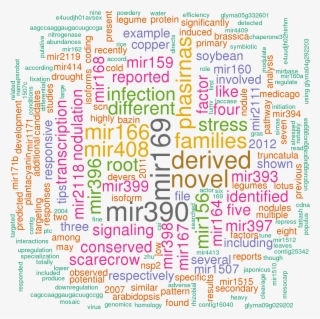 Stem Loop Sequence Gma Mir171g - Creative Writing #5084772