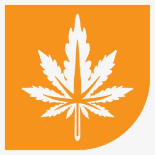 Girl Scout Glue - Emblem #5084898