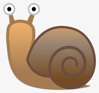 Snail Icon - Snail Icon Png #5084956